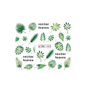 Zöld leveles matricák