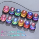 T001-T006 - Rainbow Reflective