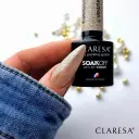 CLARESA Celebration